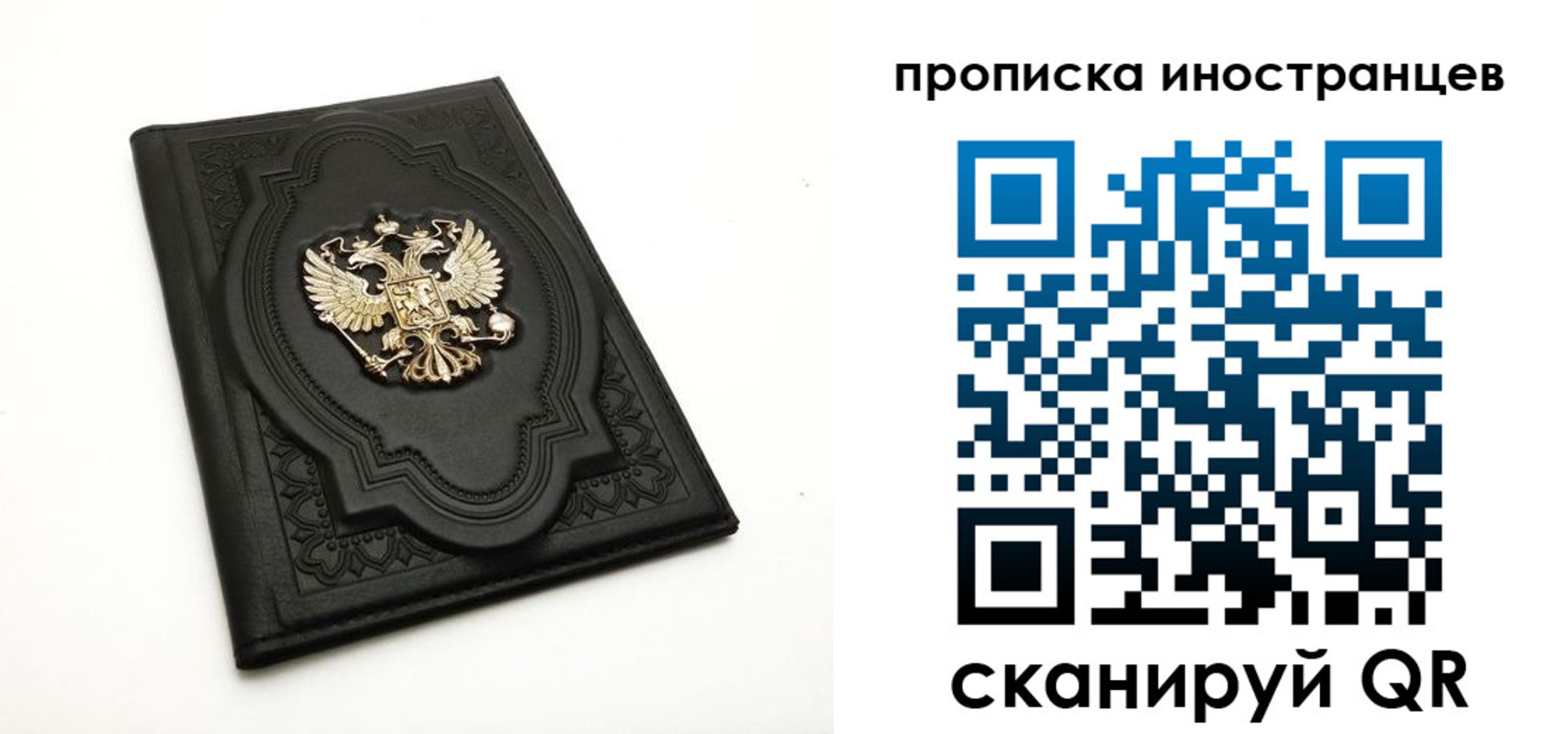 прописка иностранных граждан в Курганской области